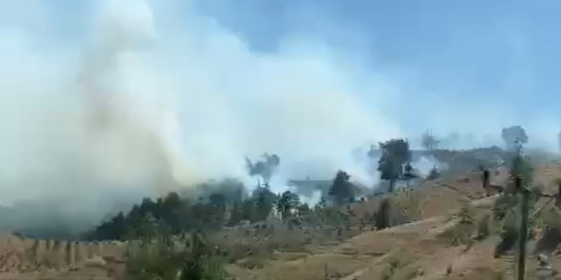 Kahramanmaraş'ta ormanda yangın çıktı