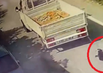 Kamyonetin arkasına bağladığı köpeği sürükledi