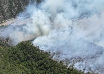 Karabük'te ormana yıldırım düştü, yangın çıktı