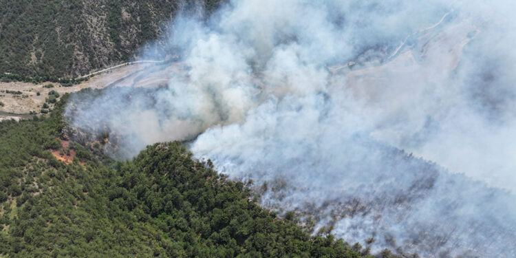 Karabük'te ormana yıldırım düştü, yangın çıktı