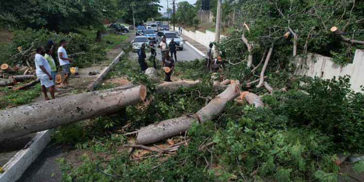 Karayipler’i vuran Beryl Kasırgası'nda can kaybı 9’a yükseldi