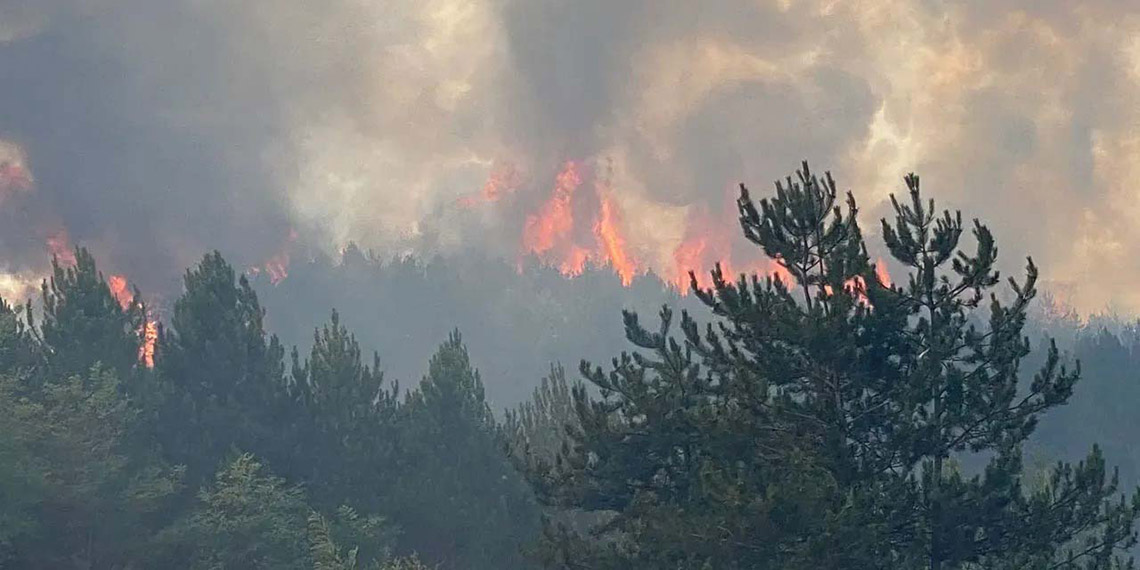 Kastamonu'da ormanda yangın