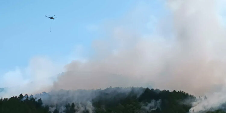 Kastamonu'daki orman yangını kontrol altına alındı