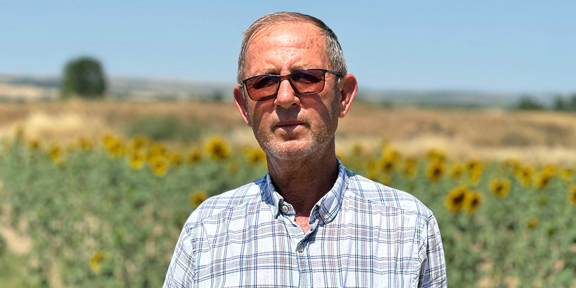 Kavurucu sıcaklarda ayçiçeği ekili tarlalar kurudu