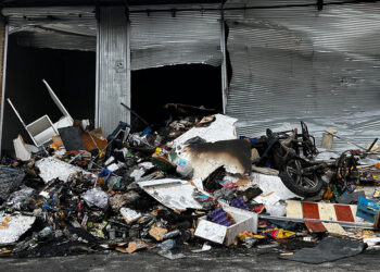 Türkiye Cumhuriyeti topraklarında mülteci istemiyorum!