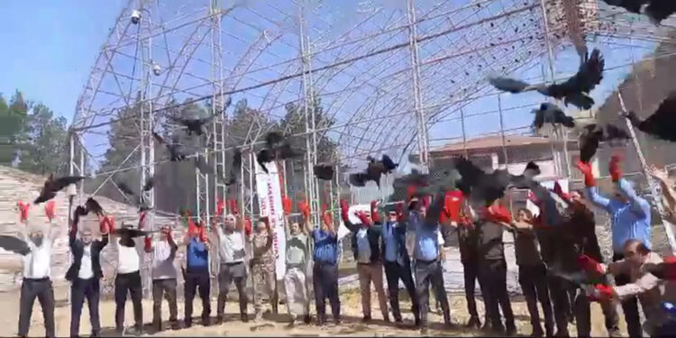 Kelaynaklar göç yoluna bırakıldı