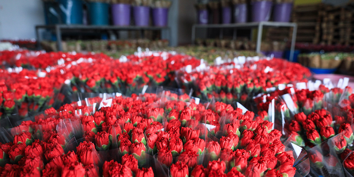 Kesme çiçekte ihracat hedefinin yarıdan fazlası 6 ayda gerçekleşti