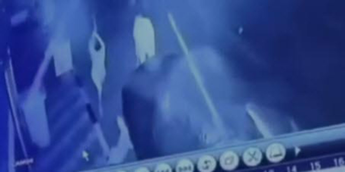 Köpeğe sopalı saldırı kamerada