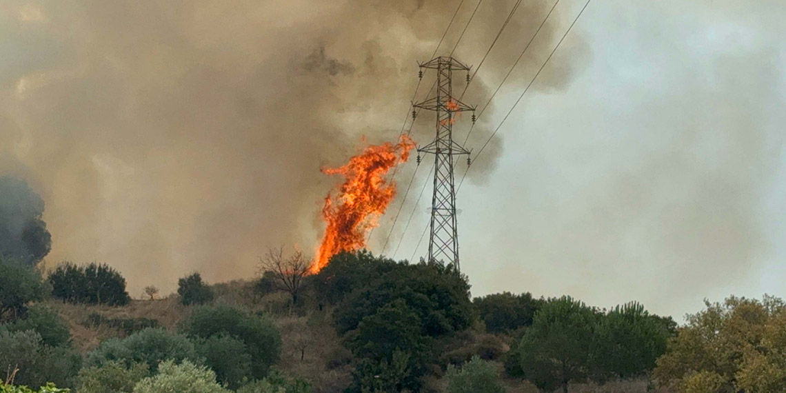Manisa Turgutlu'da orman yangını