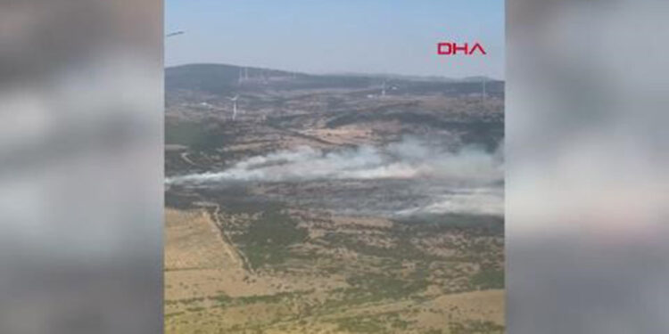 Manisa'nın Kırkağaç ilçesinde orman yangını