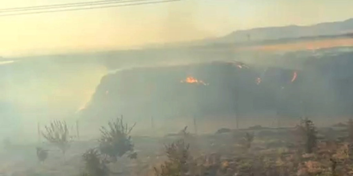 Mardin'de saman yangınında 25 dönümlük fıstık bahçesi zarar gördü