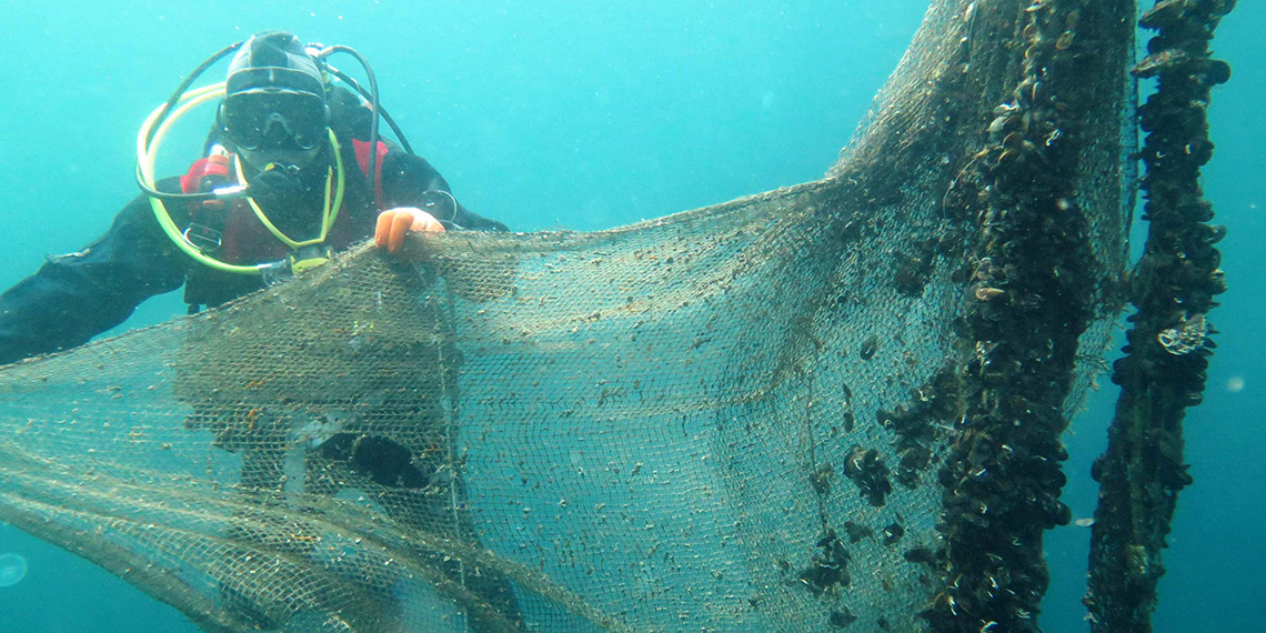 Marmara ve Avşa adalarındaki hayalet ağlar ekosistemi tehdit ediyor