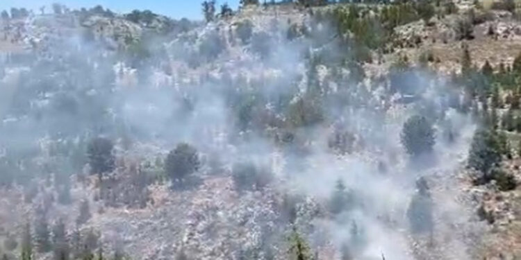 Mersin'in Gülnar ilçesinde orman yangını