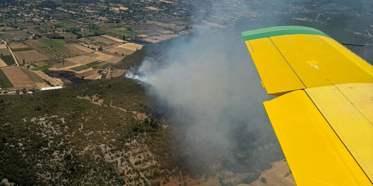 Muğla Menteşe'de yangın çıktı