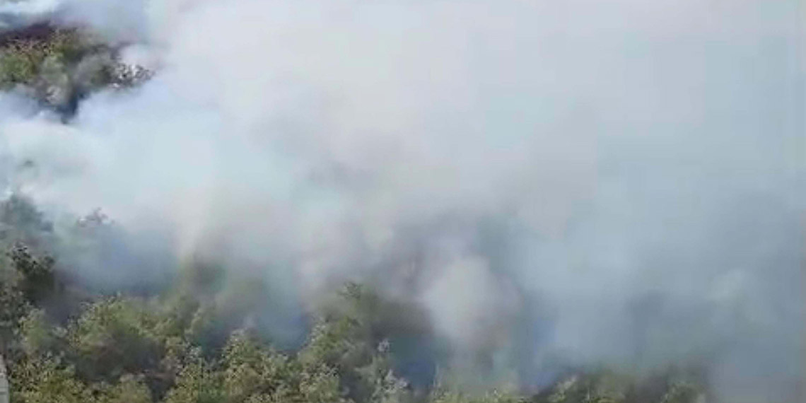 Muğla Milas'ta korkutan orman yangını