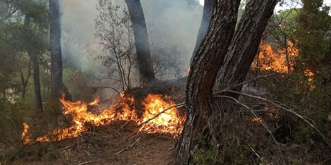 Muğla'da yıldırım düşmesiyle 11 noktada orman yangını çıktı
