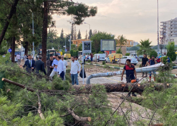 Osmaniye'de şiddetli fırtına çatıları uçurdu, ağaçları kökünden söktü