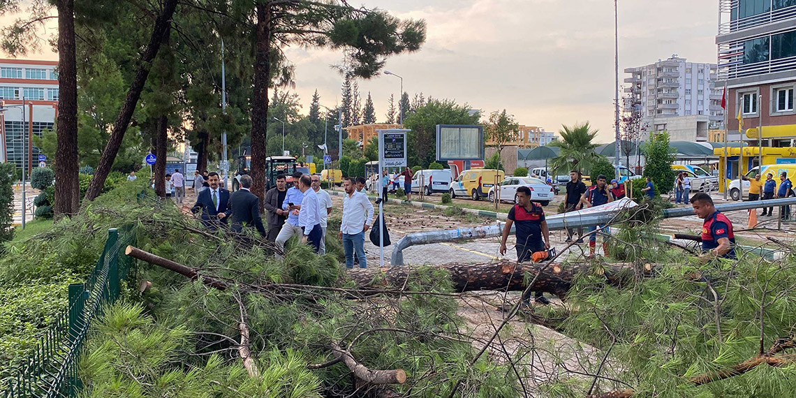 Osmaniye'de şiddetli fırtına çatıları uçurdu, ağaçları kökünden söktü