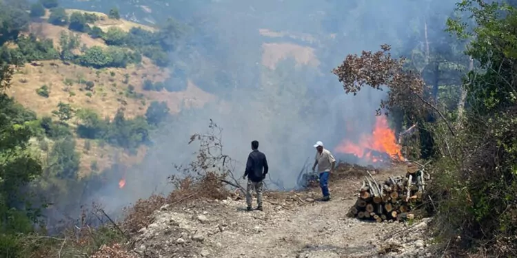 Osmaniye'nin kadirli ilçesinde orman yangını