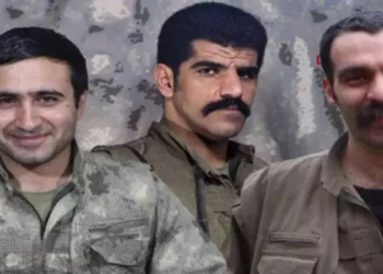PKK'nın Süleymaniye sorumlusu ve 2 terörist etkisiz hale getirildi