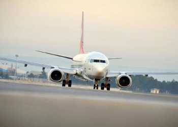 Sabiha Gökçen Havalimanı'nda kuleden pilota kuş ölüleri uyarısı