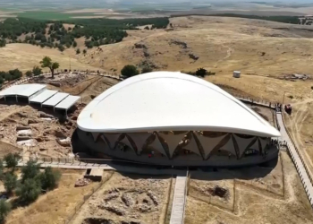 Şanlıurfa'daki Göbeklitepe'de ağaç dikme iddialarına yalanlama
