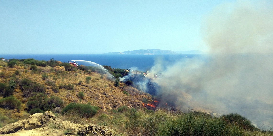 Şarköy'de yangın; 600 dönüm tarım alanı zarar gördü