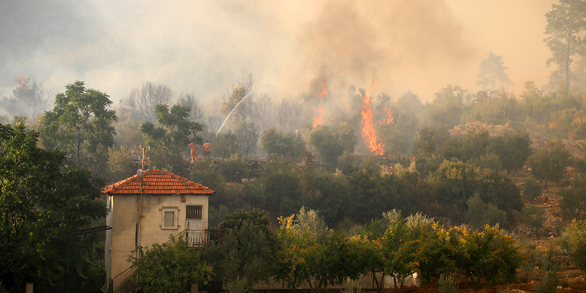 Serik'teki orman yangınında 65 hektar kül oldu
