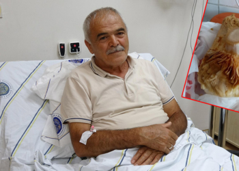 Seyyar satıcıdan alınan mantar 3 aileden 12 kişiyi zehirledi