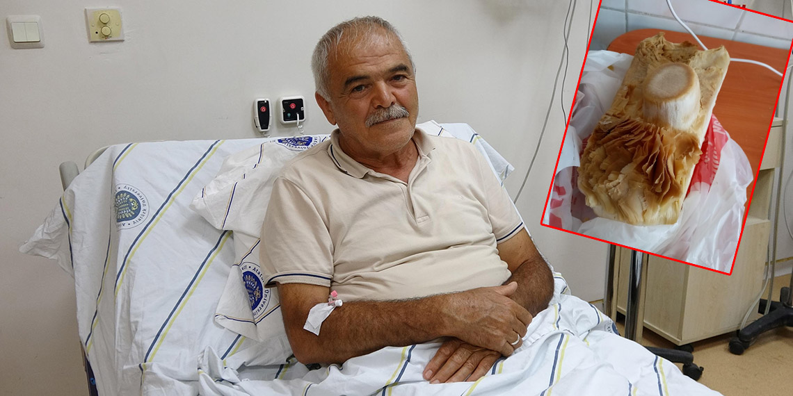 Seyyar satıcıdan alınan mantar 3 aileden 12 kişiyi zehirledi