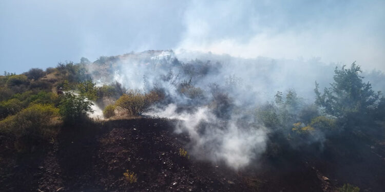 Siirt'te örtü yangını