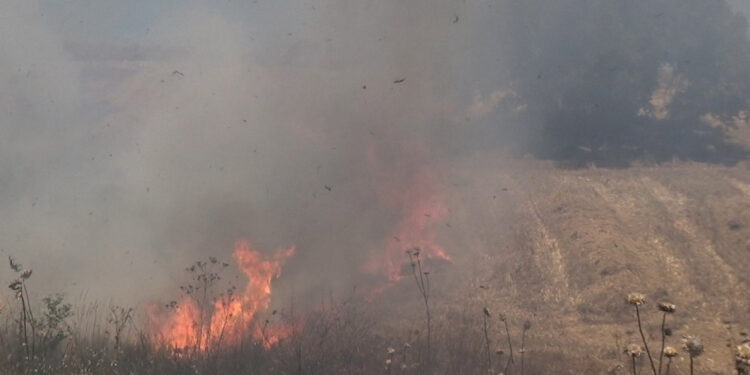 Silivri'de otluk alanda çıkan yangın ormana sıçradı