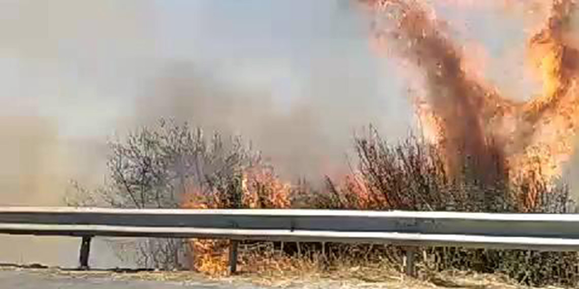 Silivri'de otluk alanda yangın; yol trafiğe kapatıldı