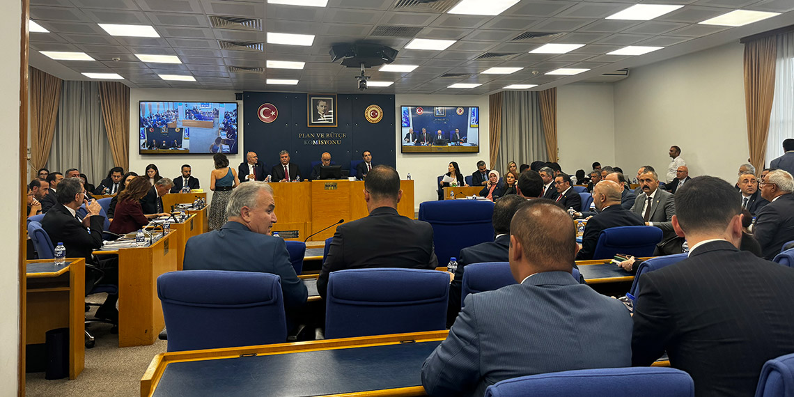 Sokak hayvanları teklifinin ilk 3 maddesi kabul edildi