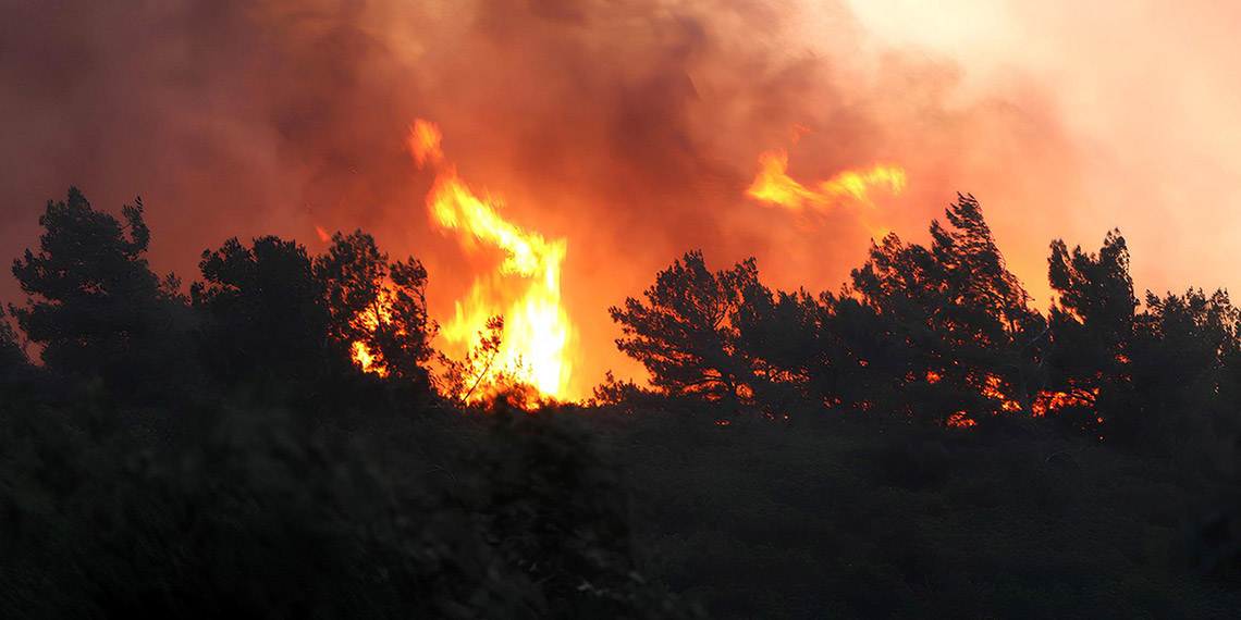 Soma'da orman yangını 2'nci gününde