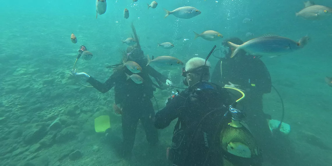 Su altı tutkunları saros körfezi'nde tarihe dalıyorlar