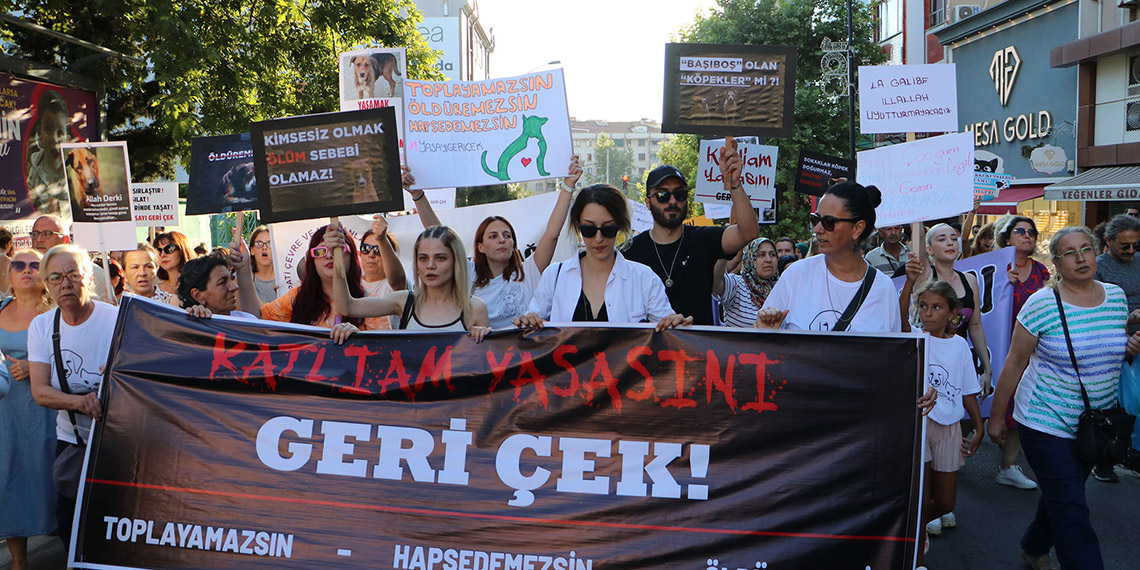 Tekirdağ'da hayvanseverler yürüyüş düzenledi