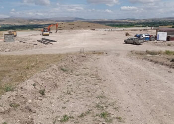 Tokat'ta sahipsiz hayvanlar için merkez kuruluyor