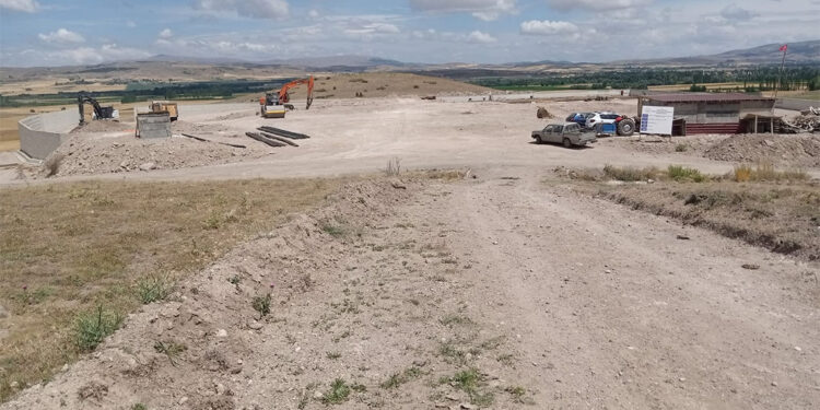 Tokat'ta sahipsiz hayvanlar için merkez kuruluyor