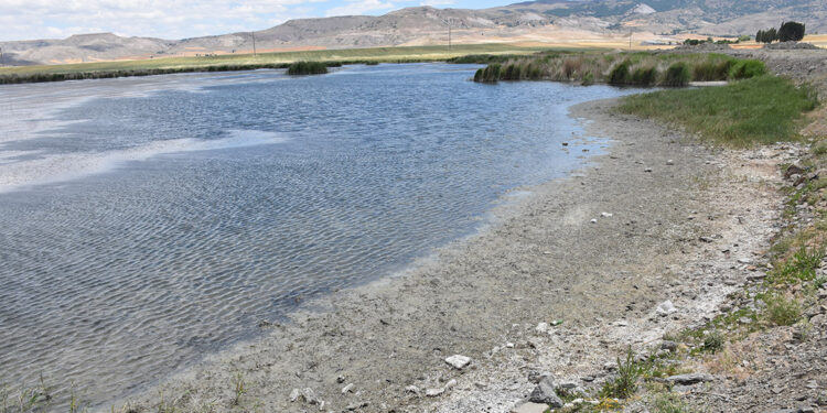 Ulaş Gölü'nde su seviyesi azaldı; 'Doğal habitat bozuluyor' uyarısı