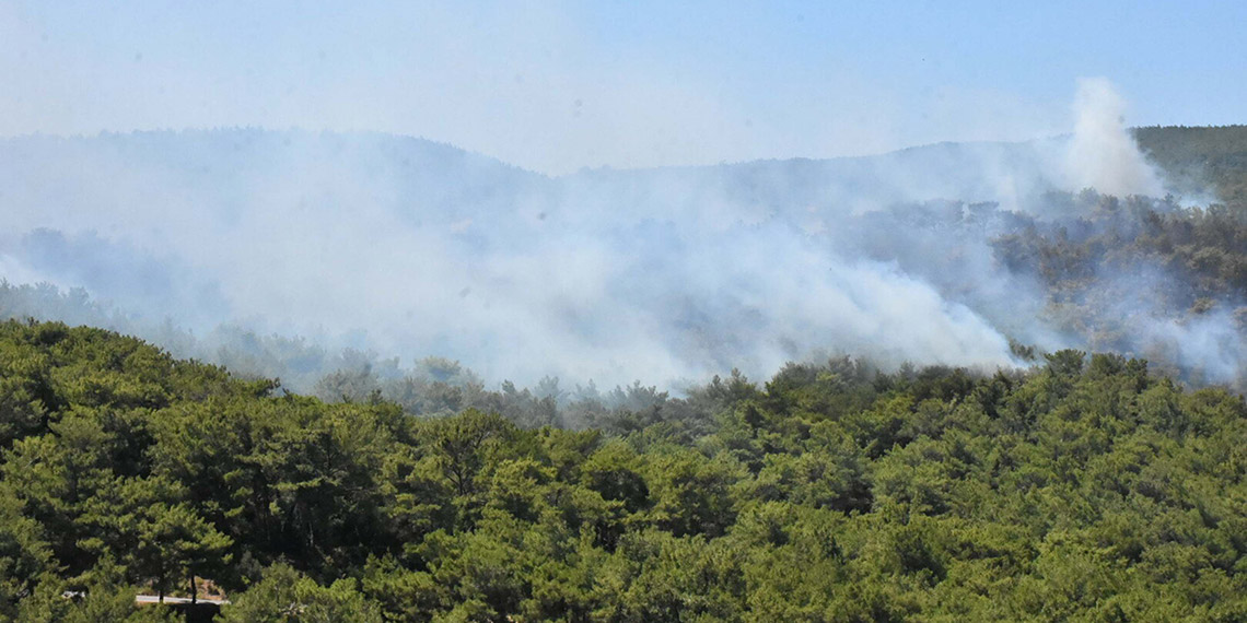 Urla ve Çeşme'de orman yangını