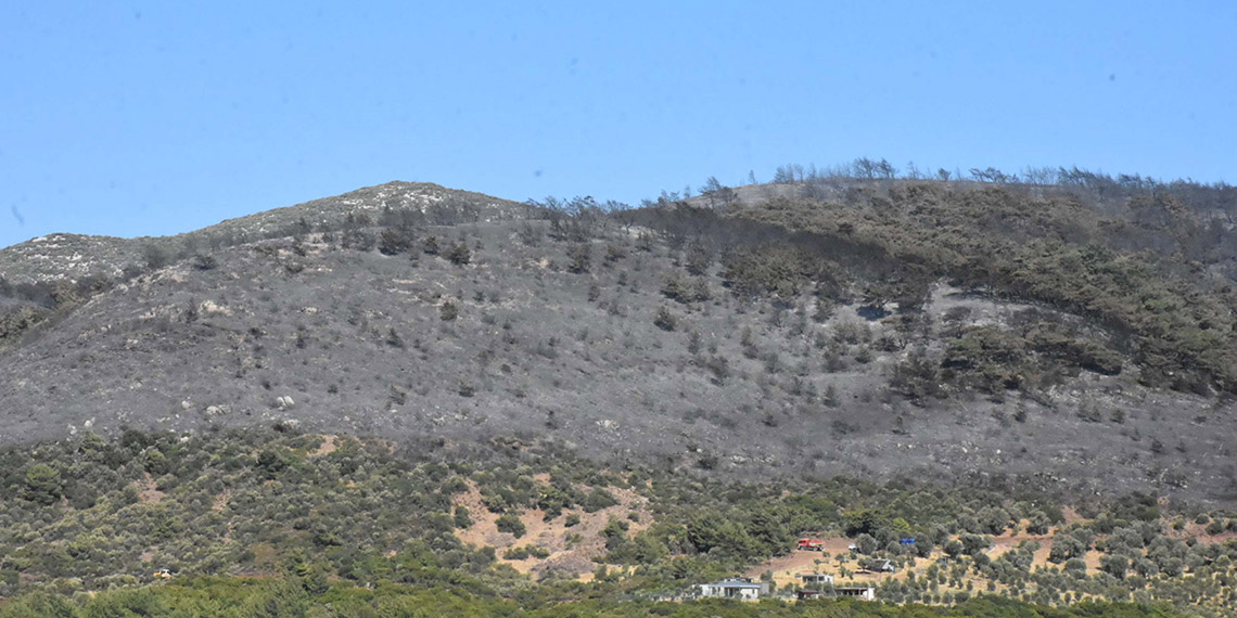 Urla'daki orman yangını 2'nci gününde