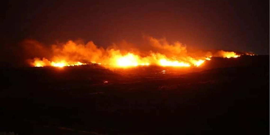 Urla'daki orman yangını 2'nci gününde