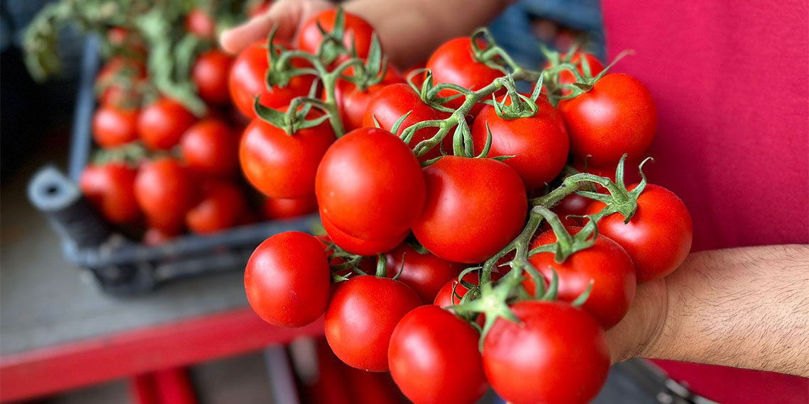 Yerli domatesin hal fiyatı düştü, limonun arttı