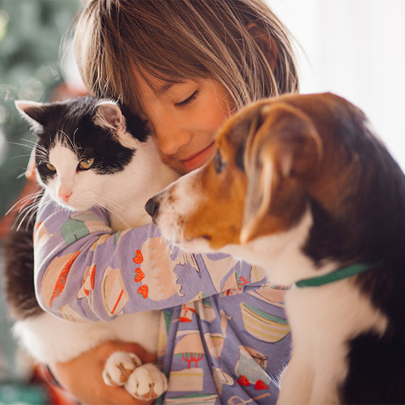 Cumhuriyet Halk Partisi (CHP) Sağlık Politikalarından Sorumlu Dr. Zeliha Aksaz Şahbaz, sokak hayvanları ile ilgili yasa tasarısının uygulanamaz olduğunu belirtti.