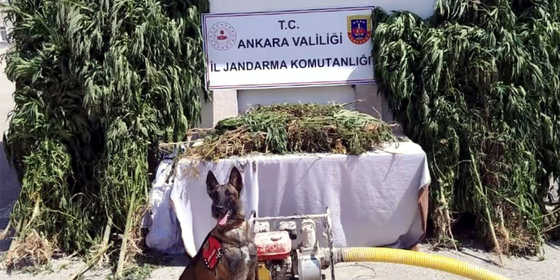 'Narkoçelik-26' operasyonlarında 57 şüpheli yakalandı