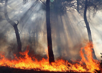 Yangınlar yüreklerimizi yakıyor