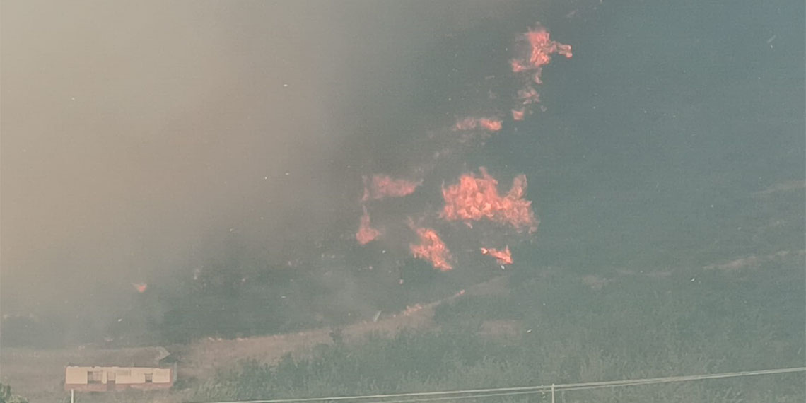 İznik'te orman yangını