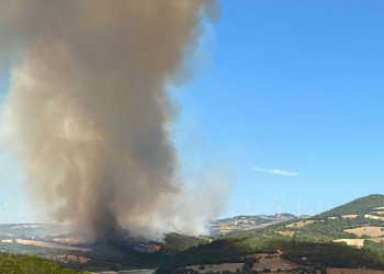 Bergama'daki orman yangını 2'nci gününde