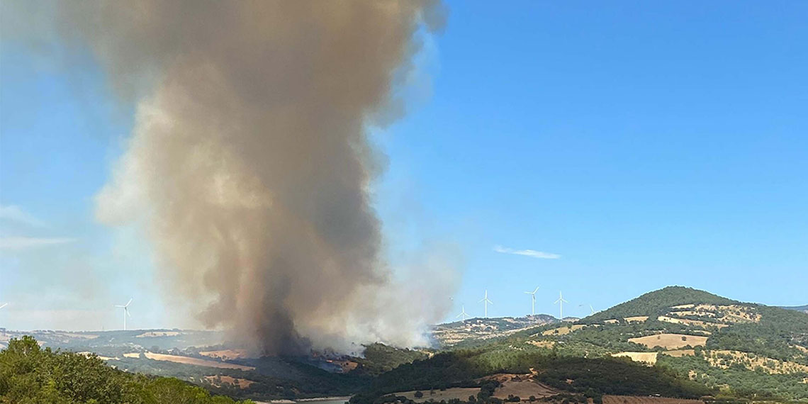 Bergama'daki orman yangını 2'nci gününde
